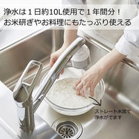 クリタック ロカシャワーMX1 RSMX-3087 1個