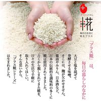 マルコメ プラス糀 砂糖代わりの発酵甘味料 甘こうじ 412173 2箱（24本入）（直送品）