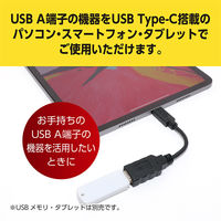 USB変換アダプタ Type-C[オス] - USB-A[メス] USB3.2 Gen2対応 変換ケーブル USA-10G2 1個