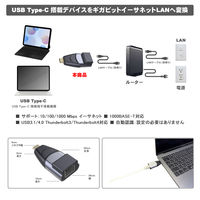 LANアダプター USB Type-C to LANポート変換 VV-UCRJS-AL 1個 Vodaview