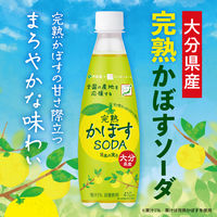 伊藤園 ニッポンエール 完熟かぼすSODA 大分県産 410ml 1セット（48本）