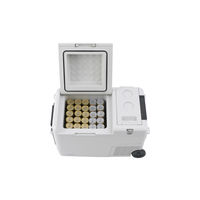 アイリスオーヤマ 充電式ポータブル冷温庫26L IPDW-B3A-W 1台