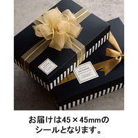 ヘッズ フィエルテシールー2 FIE-2S 1パック(100枚)