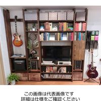 和気産業 Walist ウォリスト束ねる金具2本用 黒 178mm WAT-013 1セット(12セット)（直送品）