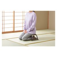 パール金属 パイプ積み重ね正座イス ブラウン N-8410 1個