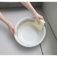 サンコー びっくり バスピカピカ グレー BI-12 1個 水だけで洗える びっくりフレッシュ 日本製 抗菌（直送品）