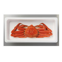 サニーフーズ ボイル姿本ずわい蟹 (ZHB451S) GR02C1171A 1セット（直送品）