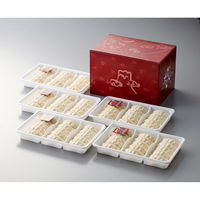 サニーフーズ 浜松餃子　(HG-50TN) RE64P1171A 1セット（直送品）