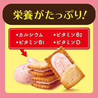 ビスケット クリームサンドクッキー 個包装 お配り菓子 ビスコ いちご 5枚×3パック入 1セット(1箱×10) 江崎グリコ