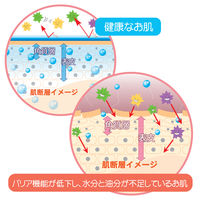 アトピタ 保湿頭皮シャンプー 詰め替え 300ml 1セット（2個） 丹平製薬