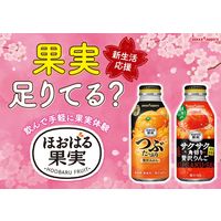 ポッカサッポロフード＆ビバレッジ ほおばる果実 サクサク角切り贅沢りんご 400g 1箱（24缶入）