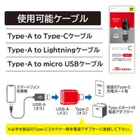 エアージェイ Type-C to USB-A変換アダプター CA-CTA 1個