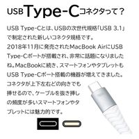 エアージェイ Type-C to USB-Aケーブル付き変換アダプター CA-CTAC 1個