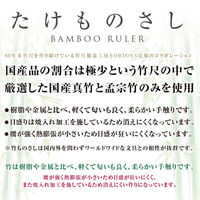 たけものさし１５ｃｍ TKM-15 3本 共栄プラスチック