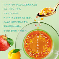 meito とけだす果実の紅茶 ユズ＆アップル 1個（5袋入）