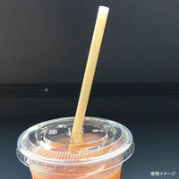 江戸川物産 サトウキビストロー φ6×210mm 紙袋入 00669653 1セット(1袋(100本)×70)（直送品）