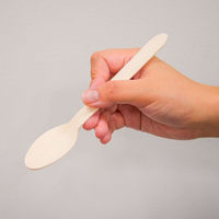 中村 木製 スプーン 未晒紙完封 50本入 00679317 1セット(1袋×60)