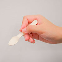 中村 木製 デザートスプーン 未晒紙完封 50本入 100点 00679321 1セット(100点入)（直送品）