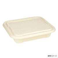 パックスタイル 弁当容器 BBボックス22-18(H45)　500枚(50枚×10) 00705417（直送品）