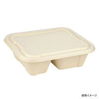 パックスタイル 弁当容器 BBボックス22-18-2(H64)　500枚(50枚×10) 00705419（直送品）