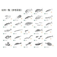 溝端紙工印刷 箸袋海鮮シリーズMIX28種類混合 385642 1セット(500点入)