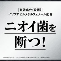 AGデオ24（エージーデオ）メンズ デオドラントスプレーN 無香性 LL 180g 1個 制汗剤 ファイントゥデイ