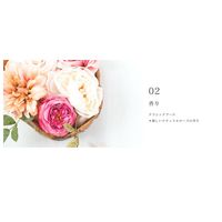 プロミル オイル 150ml 洗いながさないトリートメント マルチオイル NAKAGAWA