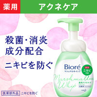 花王 ビオレ マシュマロホイップ 薬用アクネケア つめかえ用 130ml 2個
