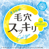【数量限定】クレンジングリサーチ ウォッシュクレンジング C クール 120g メイク落とし+洗顔+角質ケア BCL カンパニー