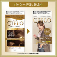 CIELO（シエロ） デザイニングカラー ヌーディオークル ホーユー