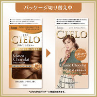 CIELO（シエロ） デザイニングカラー クラシックショコラ ホーユー