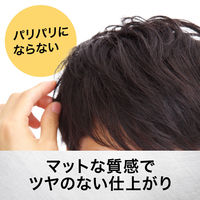 GATSBY（ギャツビー）スタイリングスプレー マット＆ハード 170g メンズ マンダム