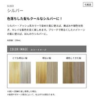 got2b（ゴットゥービー） カラーシャンプー シルバー 150ml ヘンケルジャパン