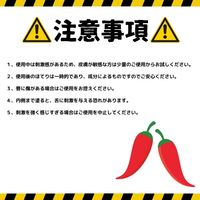 HOLIKAHOLIKA（ホリカホリカ） デビルズプランパー 02 ヘルファイアグローイトッパー マックプランニング