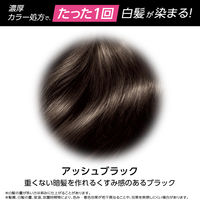 syoss（サイオス） カラートリートメント　アッシュブラック 白髪染め ヘアカラー ヘンケルジャパン