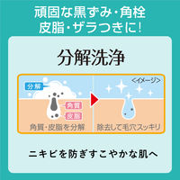 クレンジングリサーチ パウダーウォッシュ 0.4g×30包 黒ずみ 毛穴汚れ パウダー洗顔 BCLカンパニー