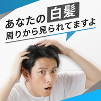 メンズビゲン　ワンプッシュ　白髪染め6A　アッシュブラウン　hoyu（ホーユー）