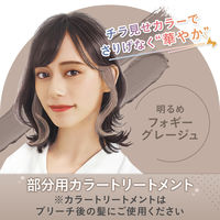 ルシードエル インナーカラートリートメント #フォギーグレージュ 80g マンダム