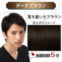 ルシード ワンプッシュケアカラーダークブラウン 6 メンズ用 無香料 白髪染め マンダム（医薬部外品）