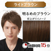 ルシード ワンプッシュケアカラーライトブラウン 4 メンズ用 無香料 白髪染め マンダム（医薬部外品）