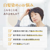 50の恵 頭皮いたわりカラートリートメント ブラック 150g ロート製薬