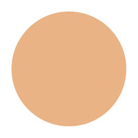 インテグレートグレイシィ エッセンスパウダーBB 2 SPF22・PA++ 8g 資生堂