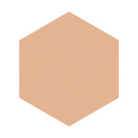 インテグレートグレイシィ ブライトパクトEX オークル20 （レフィル） 資生堂 ファンデーション