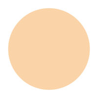 プリオール 美つやBBパウダリー オークル2 自然な肌色 10g SPF22・PA++ 資生堂