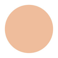 マジョリカマジョルカ スキンリメイカー ポアカバー オークル10 資生堂 ファンデーション