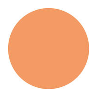 マジョリカマジョルカ パフ・デ・チーク OR302（アプリコットマカロン） 資生堂