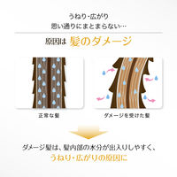 ロレアル パリ エルセーヴ エクストラオーディナリー オイル エアリーシルク 100ml