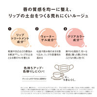 ORBIS（オルビス） ピュアセラムルージュ キャラメルベージュ