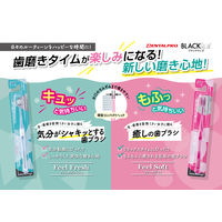 【アウトレット】DENTALPRO（デンタルプロ） ハブラシ BLACKWITH FEEL FRESH ふつう 歯ブラシ