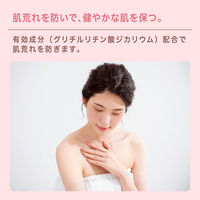 hadakara（ハダカラ）ボディソープ 泡で出てくる薬用ピュアマイルドタイプ 詰め替え 440ml ライオン【泡タイプ】